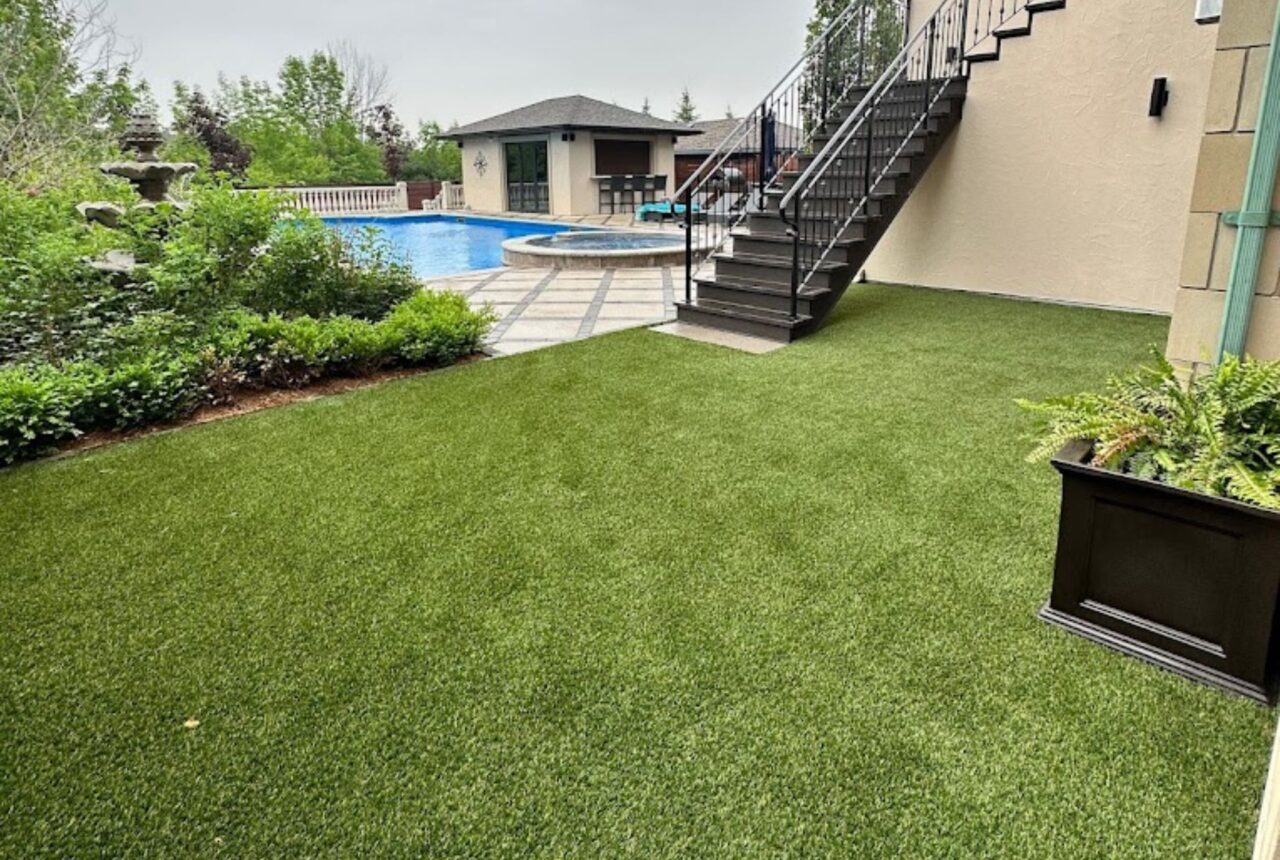 Ajax backyard turf 2