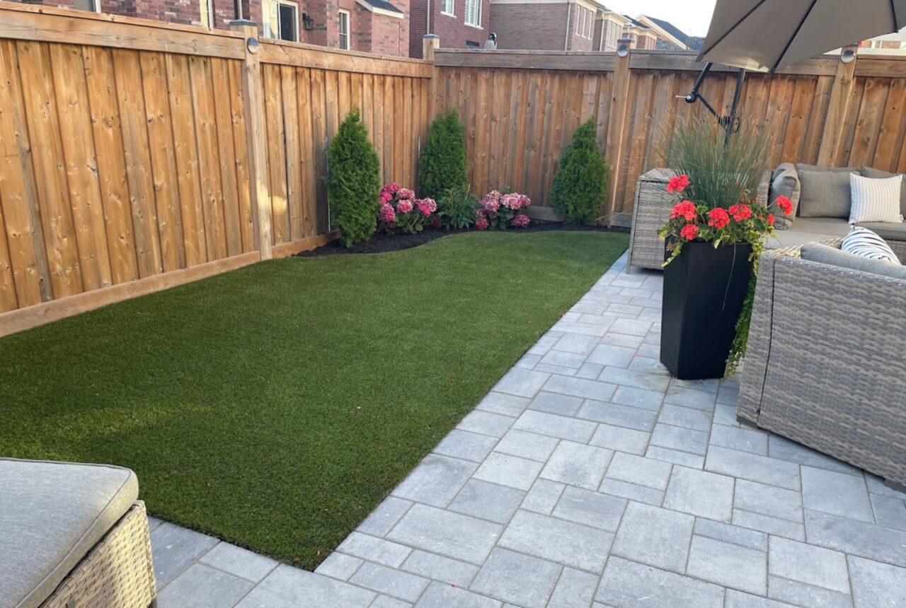 Ajax backyard turf 3